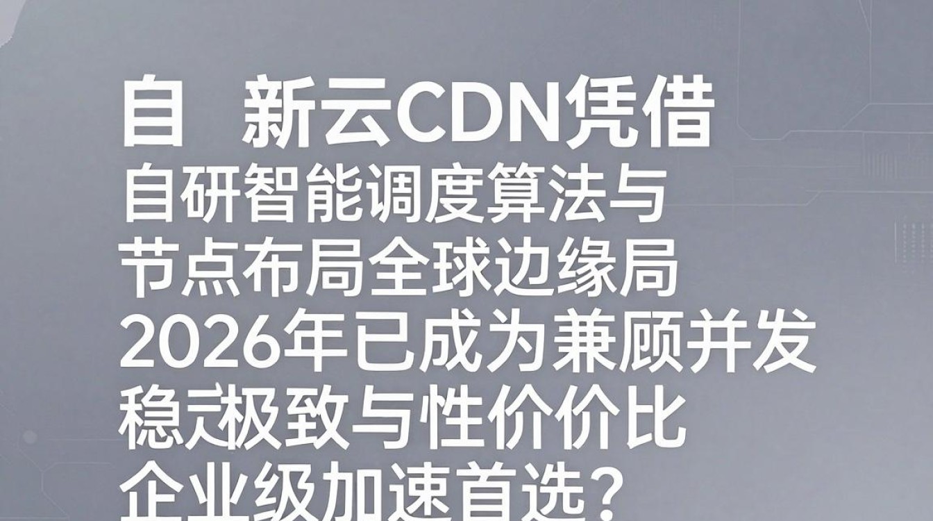 小新云cdn