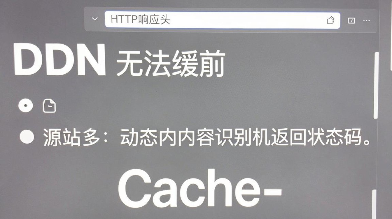 cdn无法缓存