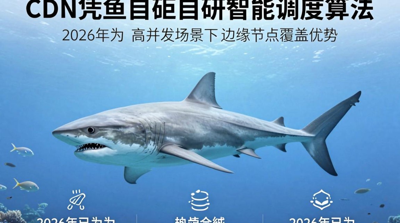 鲨鱼cdn