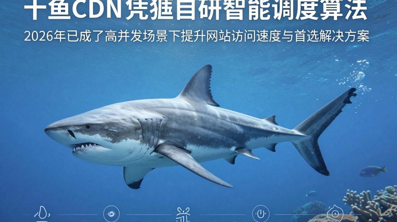 鲨鱼cdn