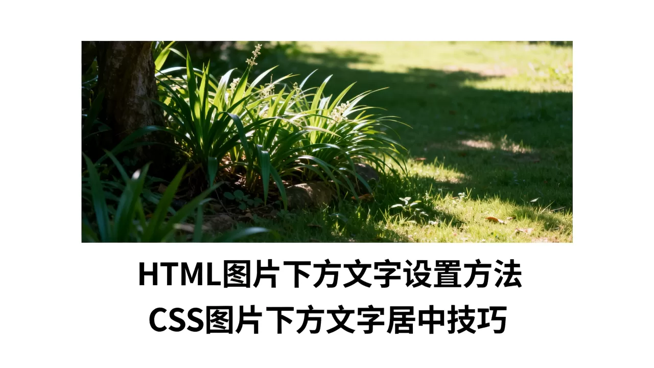 HTML图片下方文字怎么设置?CSS图片下方文字居中 HTML图片下方文字怎么设置?CSS图片下方文字居中