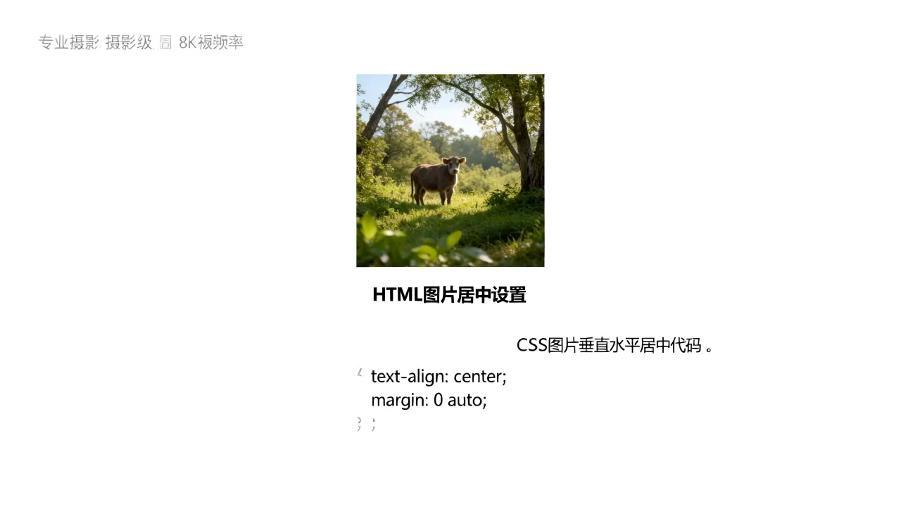 HTML图片居中怎么设置?CSS图片垂直水平居中代码 HTML图片居中怎么设置?CSS图片垂直水平居中代码