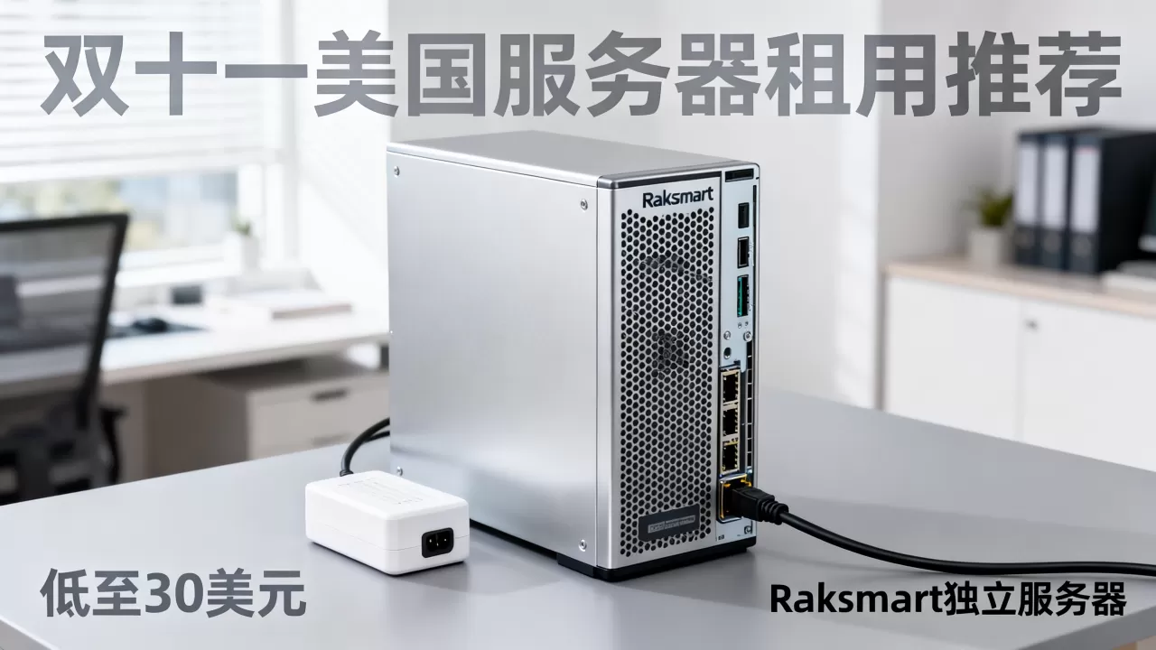 Raksmart独立服务器低至30美元值得买吗，双十一美国服务器租用推荐