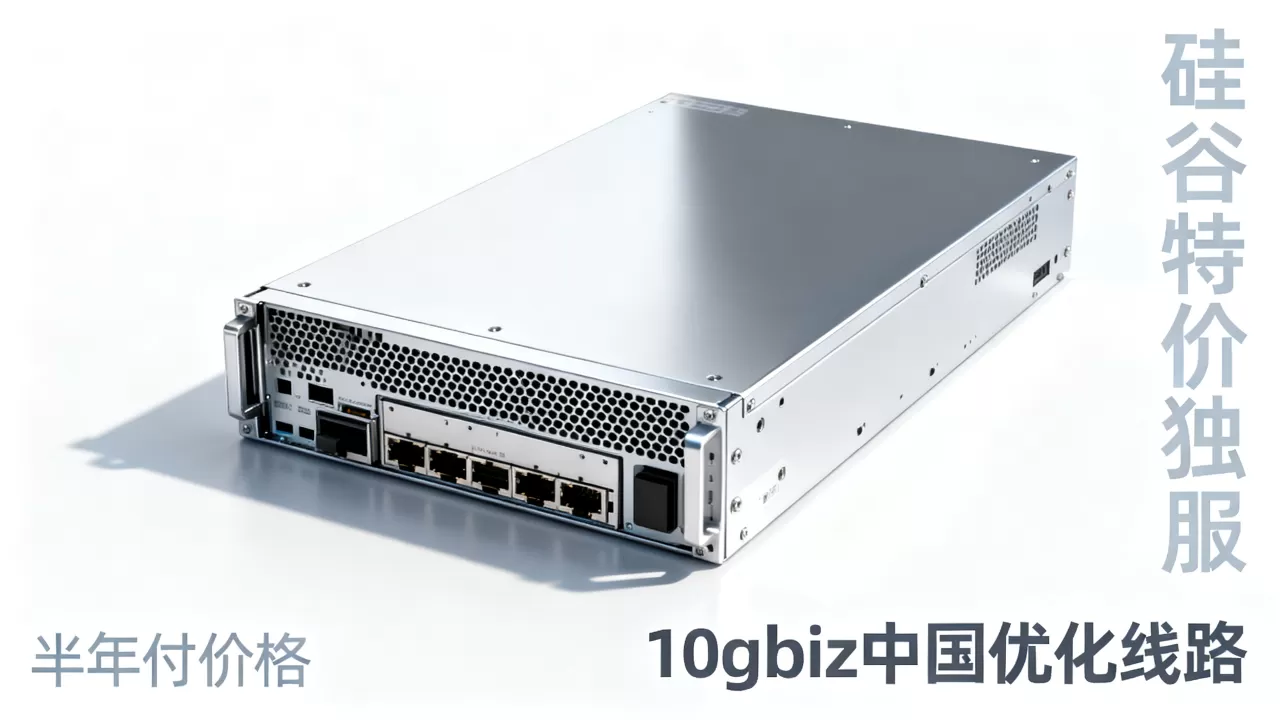 硅谷特价独服怎么买?10gbiz中国优化线路半年付价格 硅谷特价独服怎么买?10gbiz中国优化线路半年付价格