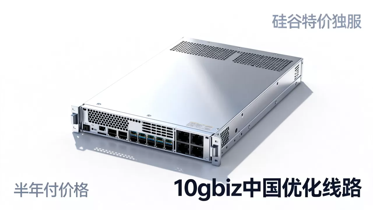 硅谷特价独服怎么买?10gbiz中国优化线路半年付价格 硅谷特价独服怎么买?10gbiz中国优化线路半年付价格