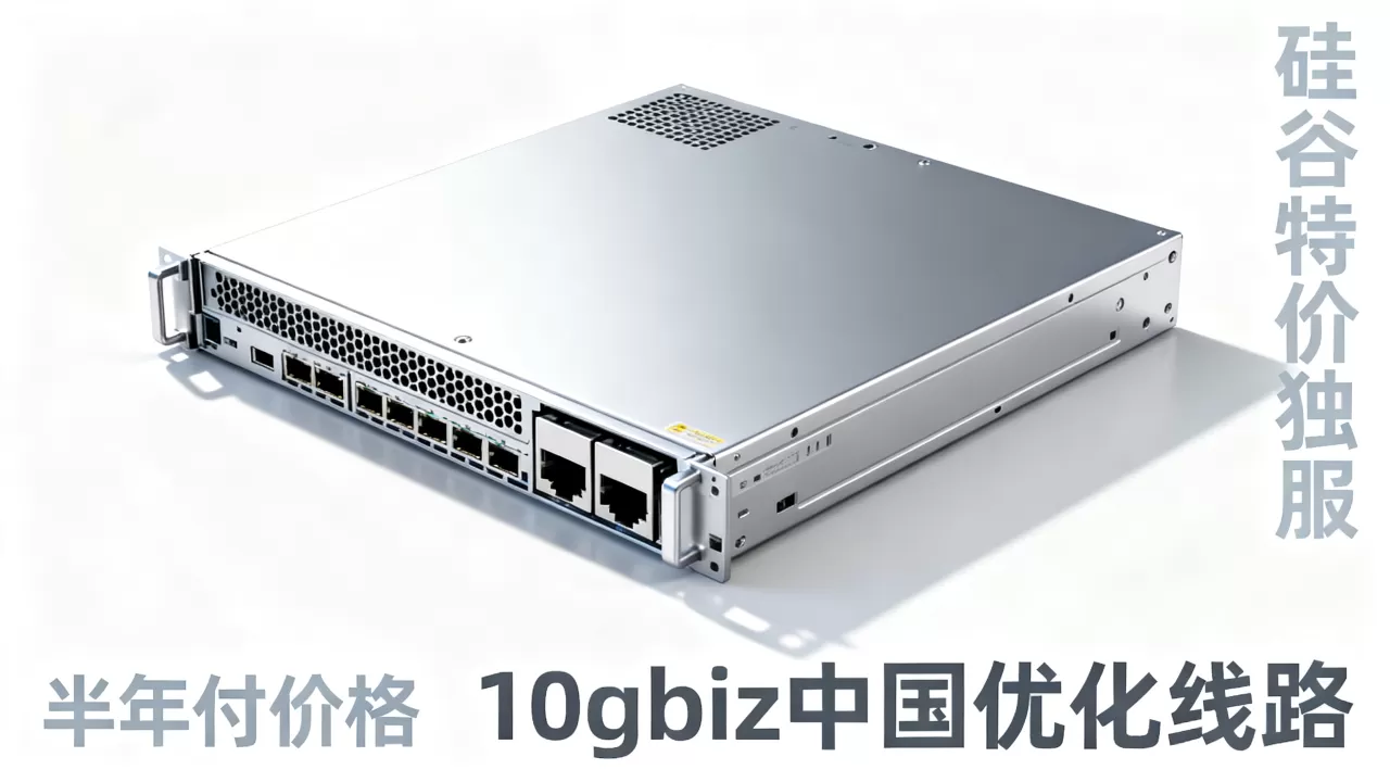 硅谷特价独服怎么买?10gbiz中国优化线路半年付价格 硅谷特价独服怎么买?10gbiz中国优化线路半年付价格