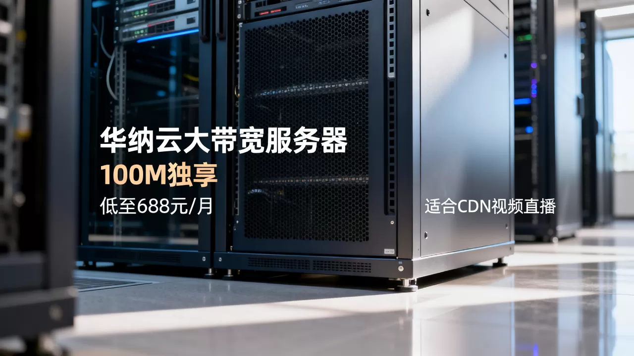 华纳云大带宽服务器100M独享低至688元/月靠谱吗，华纳云服务器适合CDN视频直播吗