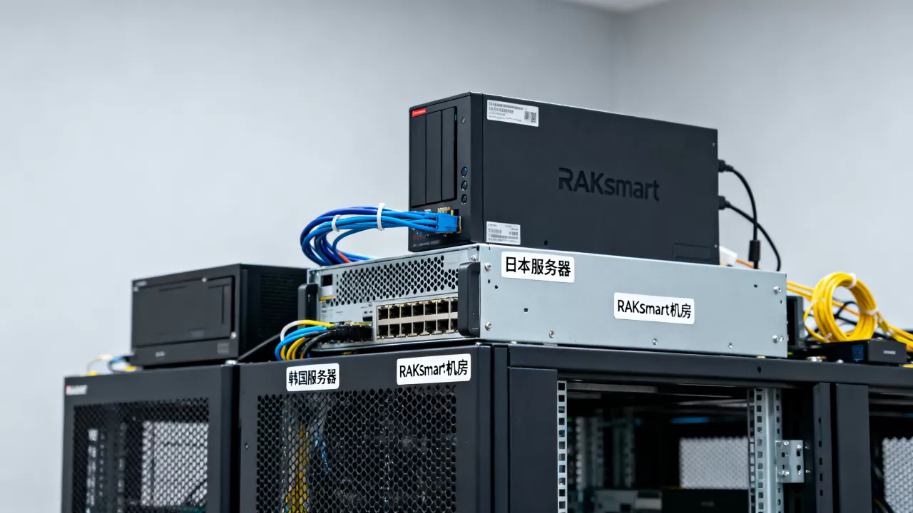日本韩国服务器起贵吗？RAKsmart机房价格表