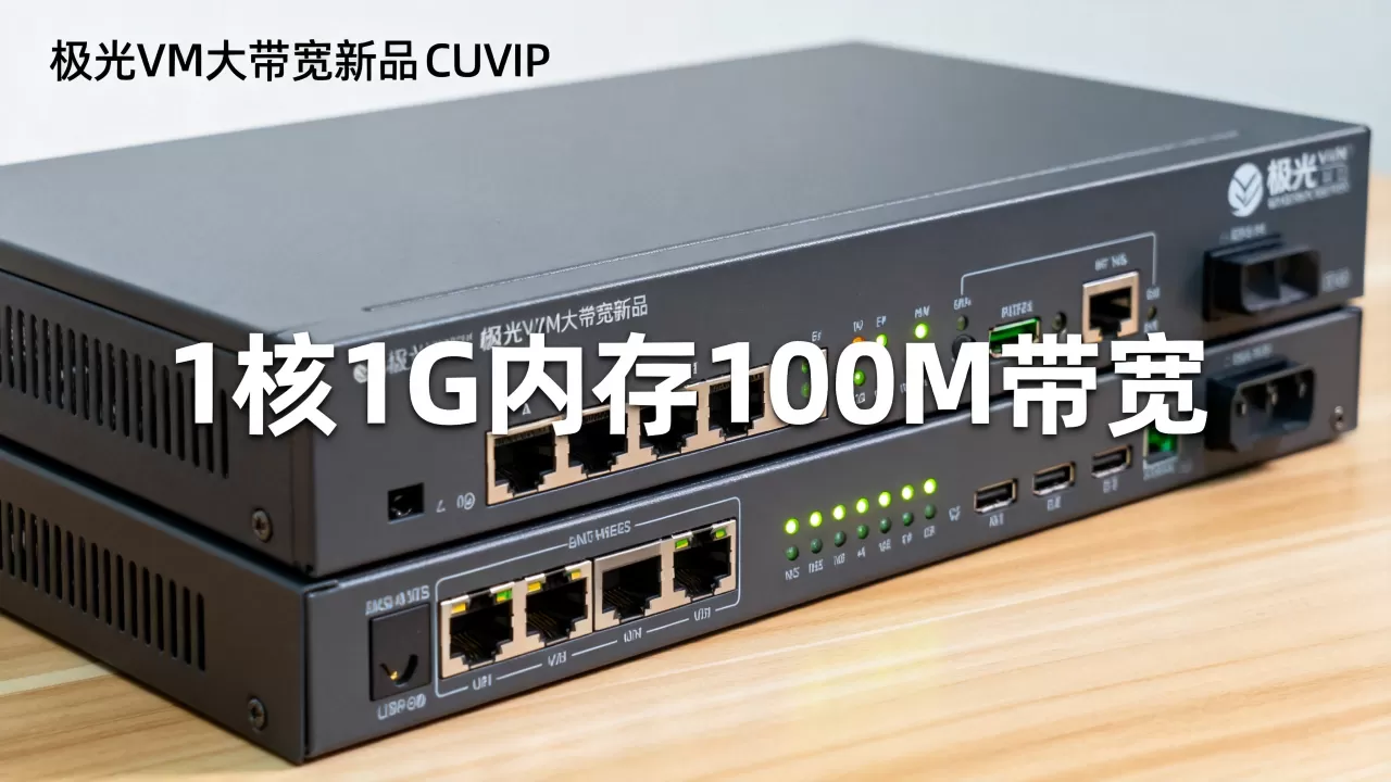 极光VM大带宽新品CUVIP性能如何？1核1G内存100M带宽适合什么