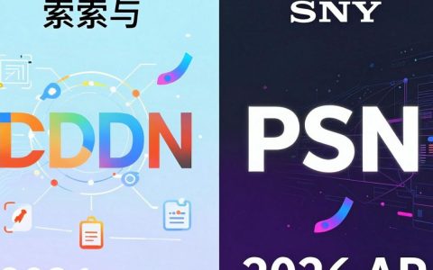 CDN加速PSN商店慢？PSN商店加速CDN怎么设置