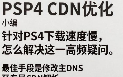 PS4 CDN加速怎么设置最好？，ps4 cdn哪个服务商好