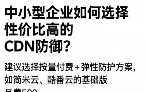 服务器cdn防御如何配置？，服务器cdn防御怎么配置