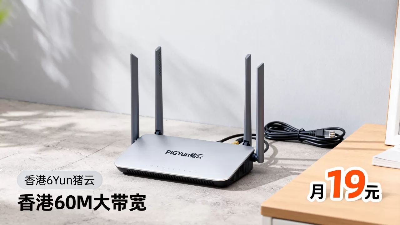 PIGYun猪云元旦优惠多少?香港60M大带宽月19元 PIGYun猪云元旦优惠多少?香港60M大带宽月19元