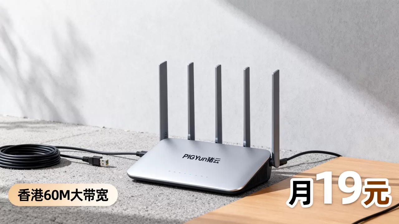 PIGYun猪云元旦优惠多少?香港60M大带宽月19元 PIGYun猪云元旦优惠多少?香港60M大带宽月19元