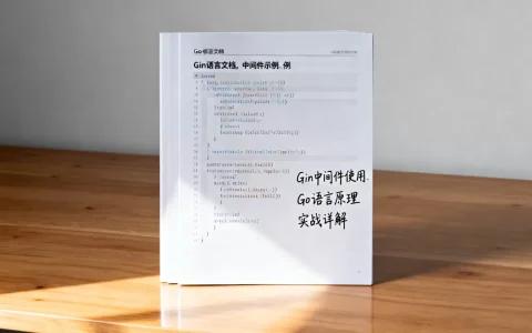 Gin框架中间件如何使用？Go语言中间件原理与实战详解