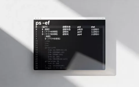 Linux进程stat状态怎么看？linux进程状态详解