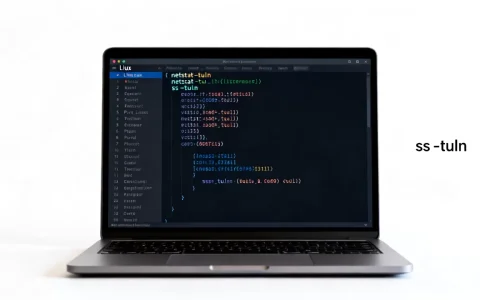 Linux如何查看端口监听状态？Linux查看端口监听命令