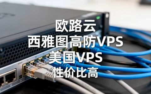 欧路云西雅图高防VPS好用吗？美国VPS推荐性价比高