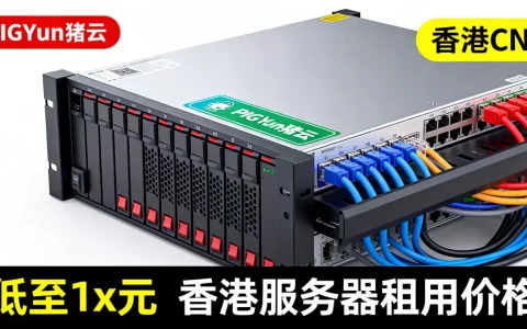 PIGYun猪云香港CN2低至1x元值得买吗，香港服务器租用价格
