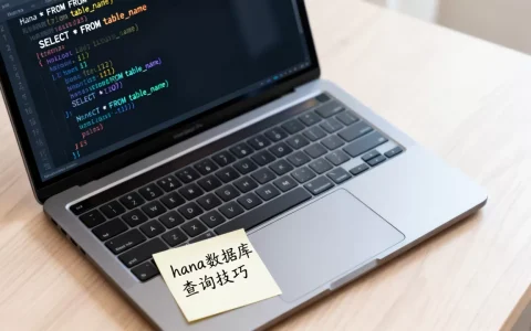 hana数据库怎么查？hana数据库查询语句大全