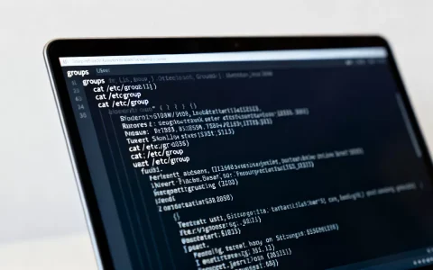 Linux系统怎么查看分组信息，Linux如何查看用户所属组？