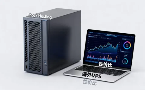 Shock Hosting特价年付主机好用吗，海外VPS哪个性价比最高？