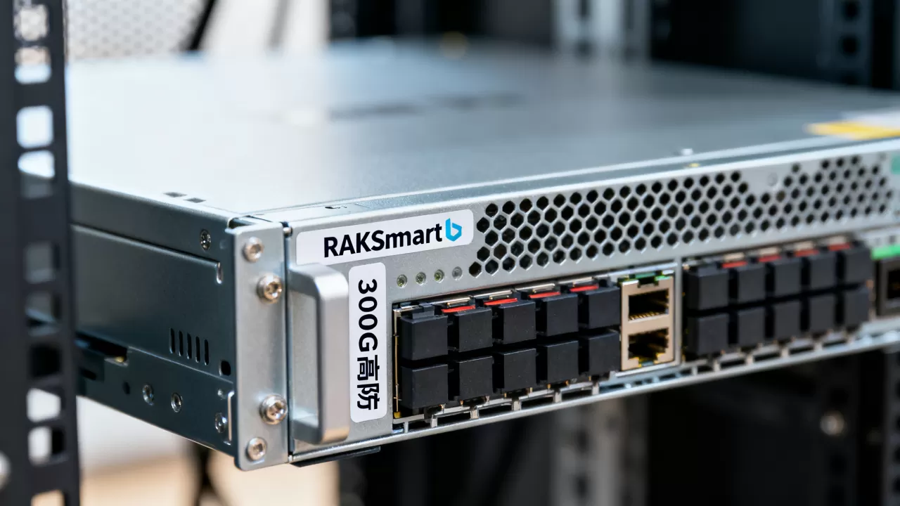 RAKsmart 300G高防怎么选，高防服务器哪个品牌好？