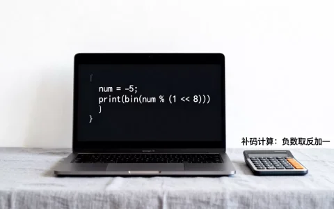 Python中的补码是什么意思？, 补码怎么计算