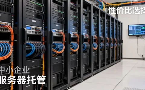 中小企业服务器托管到底哪家好，性价比高怎么选