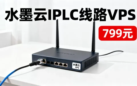 水墨云799元IPLC线路VPS速度快吗，值得买吗