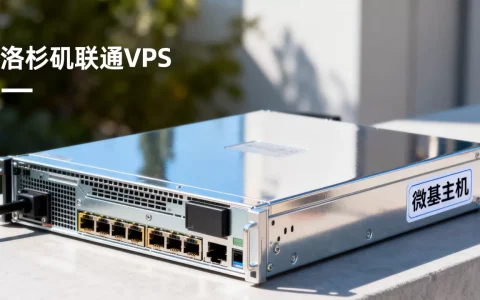 Wikihost微基主机洛杉矶联通VPS划算吗，性能如何
