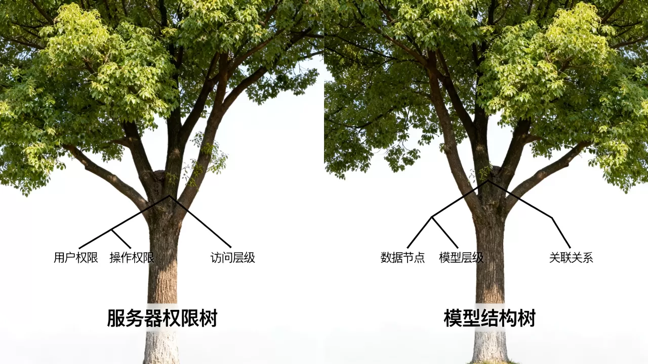 服务器权限树和模型结构树有何区别?怎么设置 服务器权限树和模型结构树有何区别?怎么设置