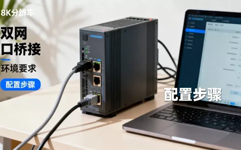 服务器双网口桥接环境要求有哪些？,如何配置？