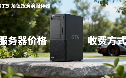 GT5角色扮演服务器多少钱？，怎么收费？