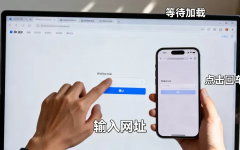 访问网站的过程具体包括哪些步骤？，怎么访问网站