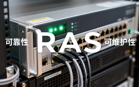 RAS是服务器常见的指标有哪些，具体含义是什么？