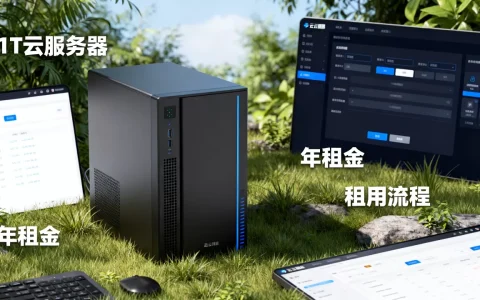 简米云服务器租用1T一年多少钱？，怎么租用