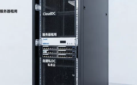 服务器租用产权和CloudDC哪个好？，自建私有云怎么选？