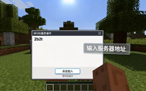 我的世界2b2t服务器编号到底是多少，怎么进去