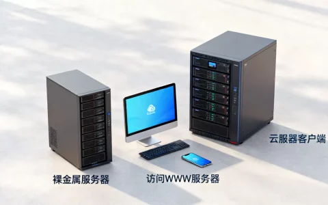 访问WWW服务器用什么客户端，裸金属服务器和云服务器区别？