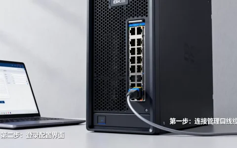 服务器的管理口怎么配置？有哪些关键步骤？