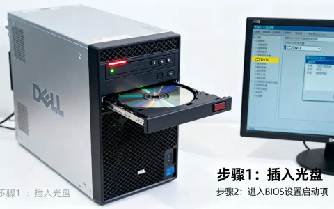 戴尔r420如何设置光盘启动？，服务器bios怎么设置启动项