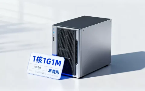 云服务器1核1G1M到底怎么选，多少钱一年？