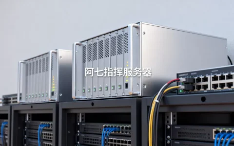 阿七指挥过哪些服务器