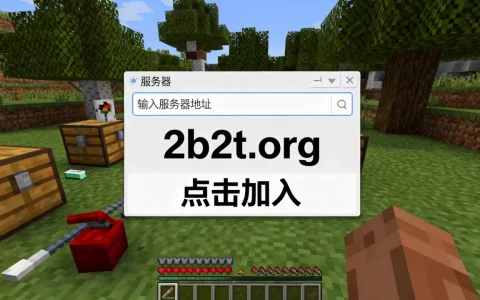 我的世界2b2t服务器地址是多少？，2b2t服务器怎么进？