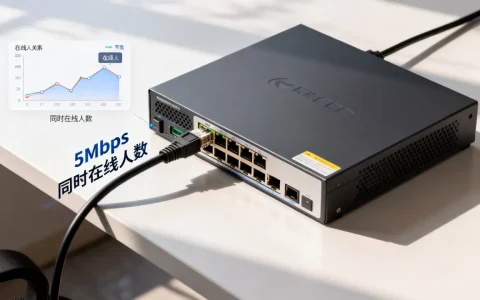 服务器5Mbps带宽到底能同时在线多少人？，够用吗？