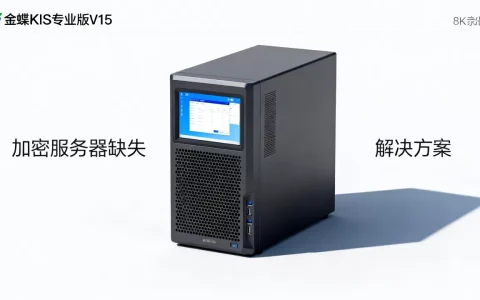 金蝶kis专业版v15为什么没有加密服务器，怎么解决？