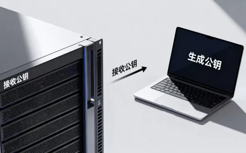 服务器为什么需要客户端的公钥，公钥怎么获取