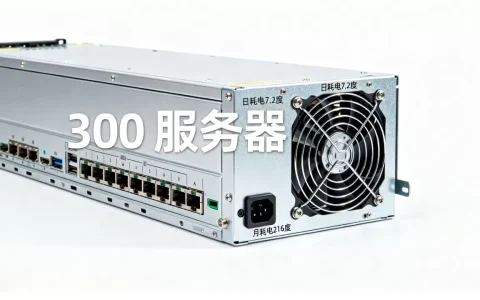 300w服务器一个月耗电多少？，一天耗电多少度？