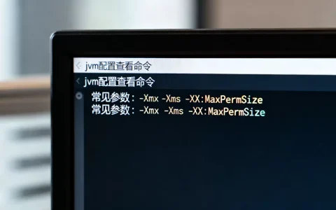 如何查看服务器当前jvm配置？，常见参数有哪些？